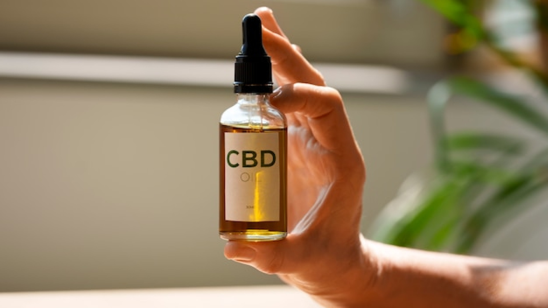 CBD en Provence : quels critères pour choisir une boutique ou un producteur ?